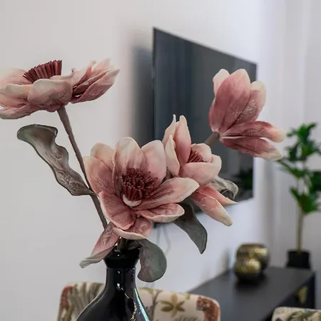 Anemomylos Corfu Апартаменты Corfu (city)